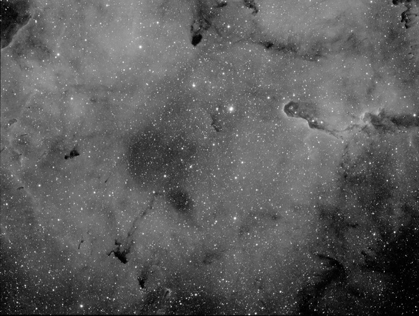 Elephants Trunk - Elefantenrüssel
Testaufnahme mit der neuen CCD von Hall aus bei fast vollem Mond aufgenommen.
Schlüsselwörter: IC 1396, H Alpha, ST 8300m