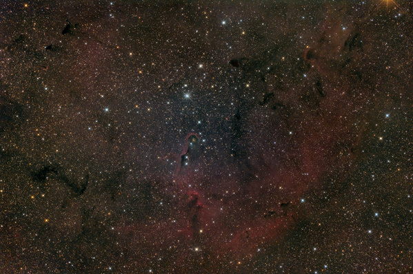 IC1396
Nach mehr als 3-monatiger Wetterabstinenz bot sich endlich eine Gelegenheit zum Fotografieren. DA Freitag war, wollte ich eigentlich am Weerberg rauffahren, konnte mich aber nicht dazu aufraffen, also blieb ich im Garten. Leider zogen nach Einbruch der Dunkelheit immer wieder kleine Wolken mit sagenhafter Geschwindigkeit durch, sodass von den 42 Aufnahmen eigentlich nur 8 wolkenfrei waren. Ich habe dann die 22 besten zum Stacken gewählt.
Schlüsselwörter: IC1396