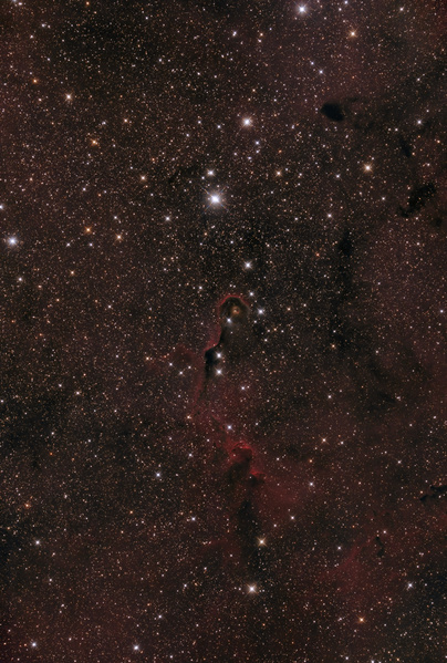 IC1396, Elefantenrüssel
Eine größere Version
