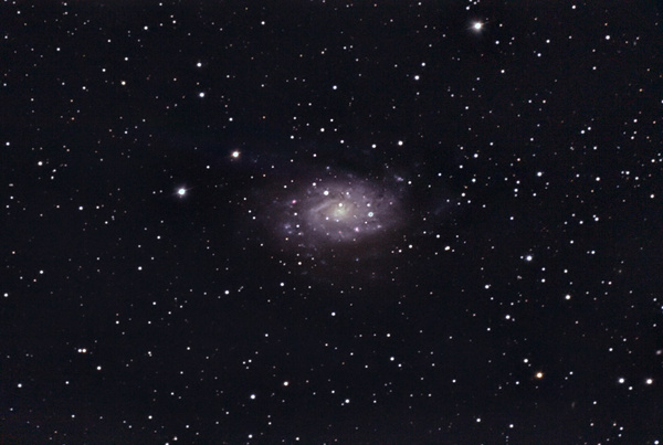 NGC2403
Diese Galaxie liegt im Sternbild Giraffe und ist im Teleskop relativ hell und strukturiert.
Schlüsselwörter: NGC2403