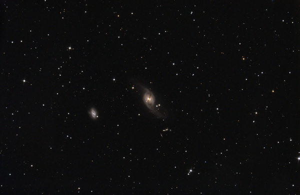 NGC3718
Ausnahmsweise mal 2 schöne Nächte hintereinander, zwar wieder mit Föhn, aber mittlerweile bricht ja schon bei wolkenlosem Himmel Jubel aus. Diesmal versuchte ich NGC3718, eine relativ schwache Galaxie mit dem 10" Newton aus dem Garten. DA unsere CCDler das Objekt zur gleichen Zeit aufnahmen, verheiraten wir vielleicht meine Farbe mit der Luminanz, mal sehen.
Schlüsselwörter: NGC3718