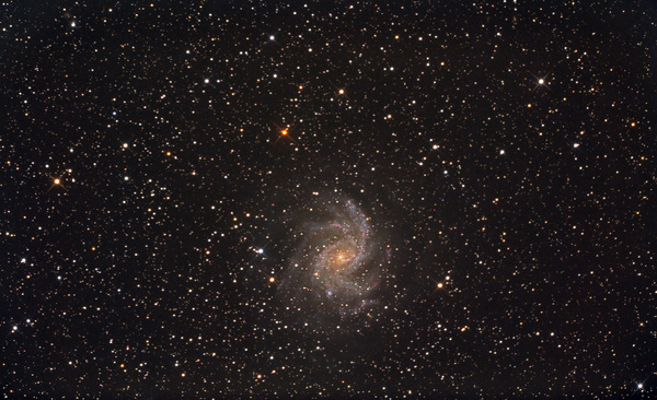 NGC6946, Feuerrad-Galaxie
Nach einer langen, langen Durststrecke gab uns der Juli endlich mal ein paar Sterne preis. Bei Hochsommertemperaturen ist der Aufenthalt im Freien im Garten sehr vergnüglich. Das Objekt musste über 3 Nächte verteilt werden, da es unter der Woche einfach zu spät dunkel wird. Leider hat der 13" ein paar Optikprobleme
Schlüsselwörter: NGC6946, Feuerrad-Galaxie