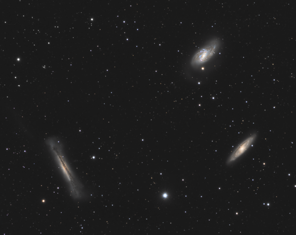 Leo Triplet
