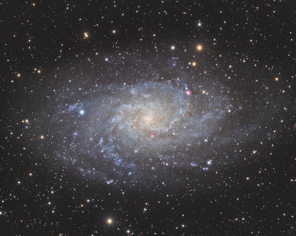 M33
